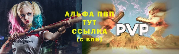 Альфа ПВП Протвино
