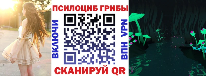 Галлюциногенные грибы ЛСД  где купить наркотик  ОМГ ОМГ рабочий сайт  Пучеж 